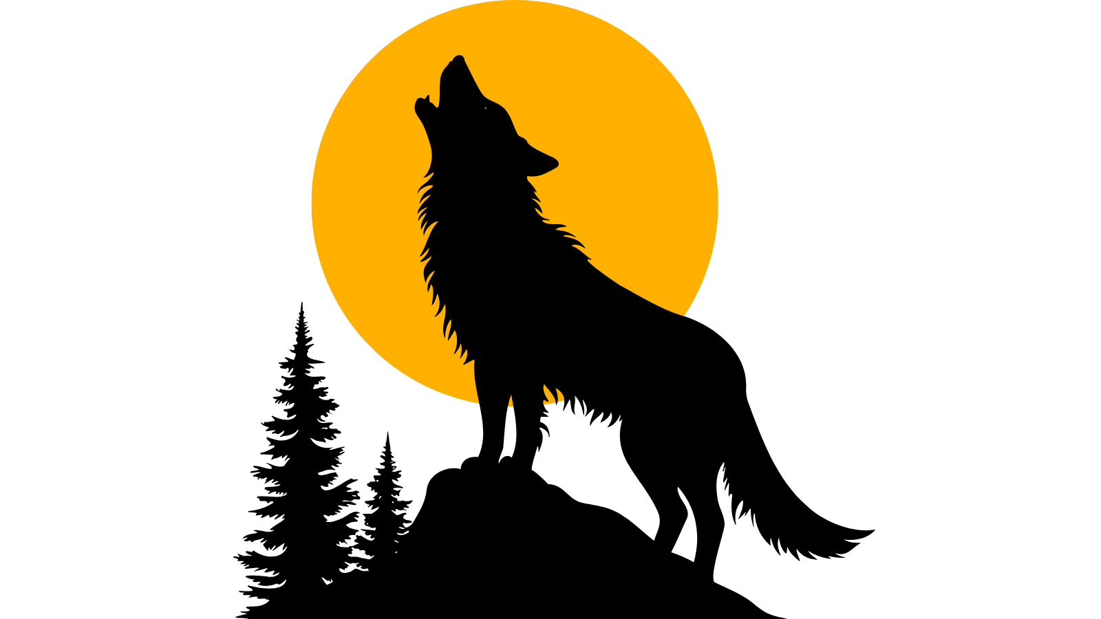 Night Party Loup-garou